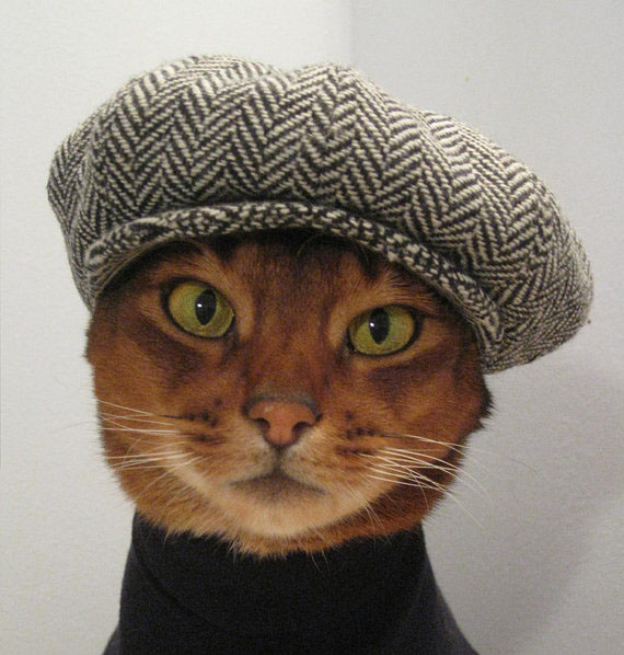 Cat wearing herringbone newsboy hat