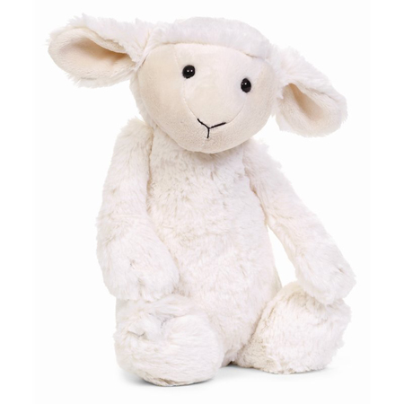 A lovely bashful lamb